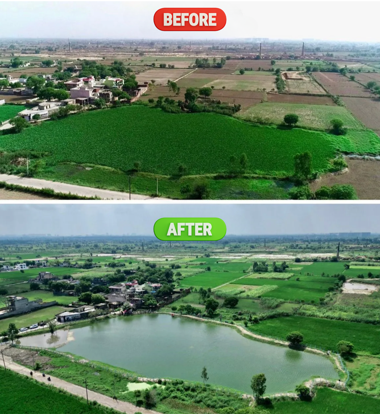 Before & After: Ristal pond restoration