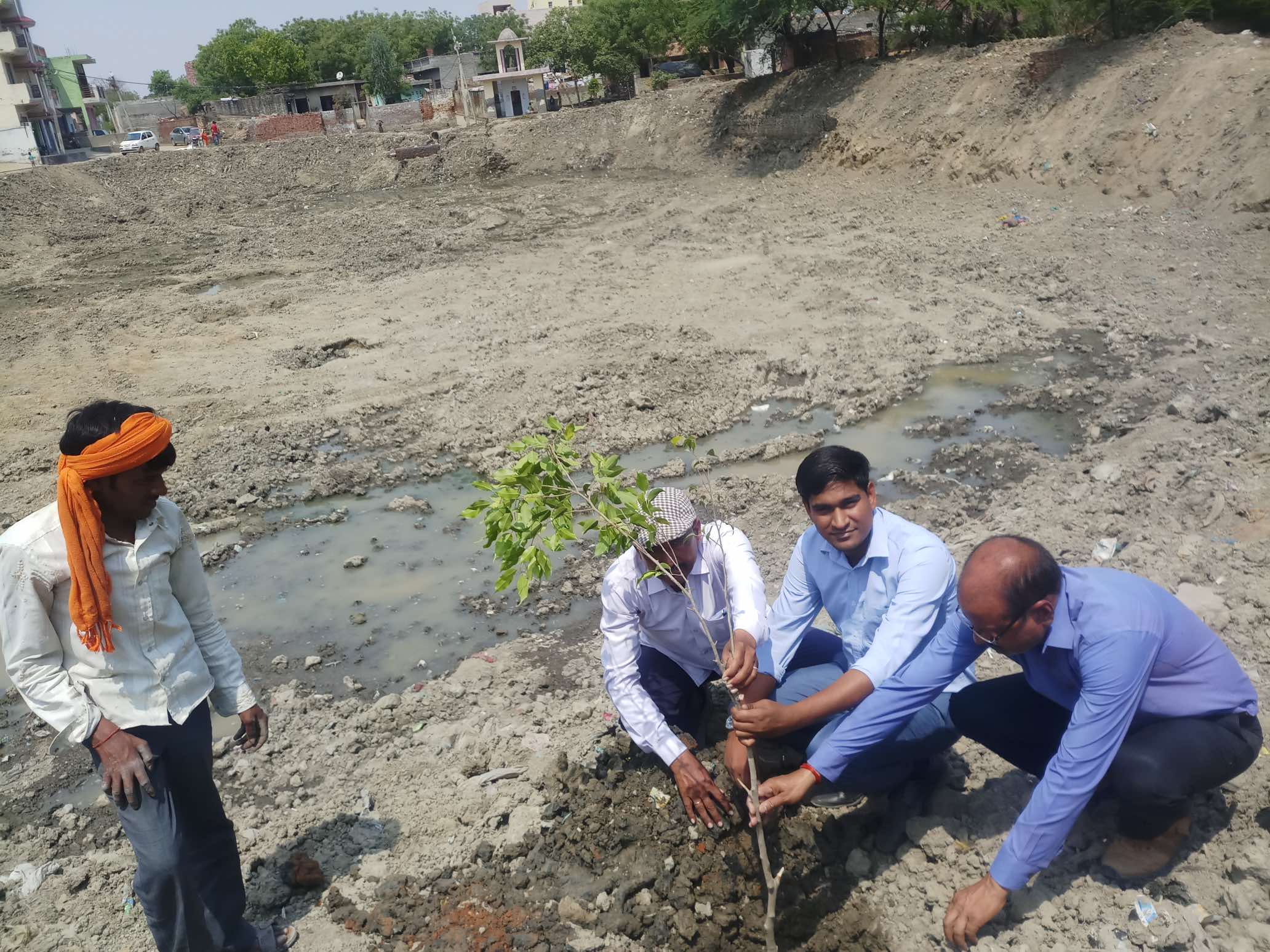 Plantation drive around pond