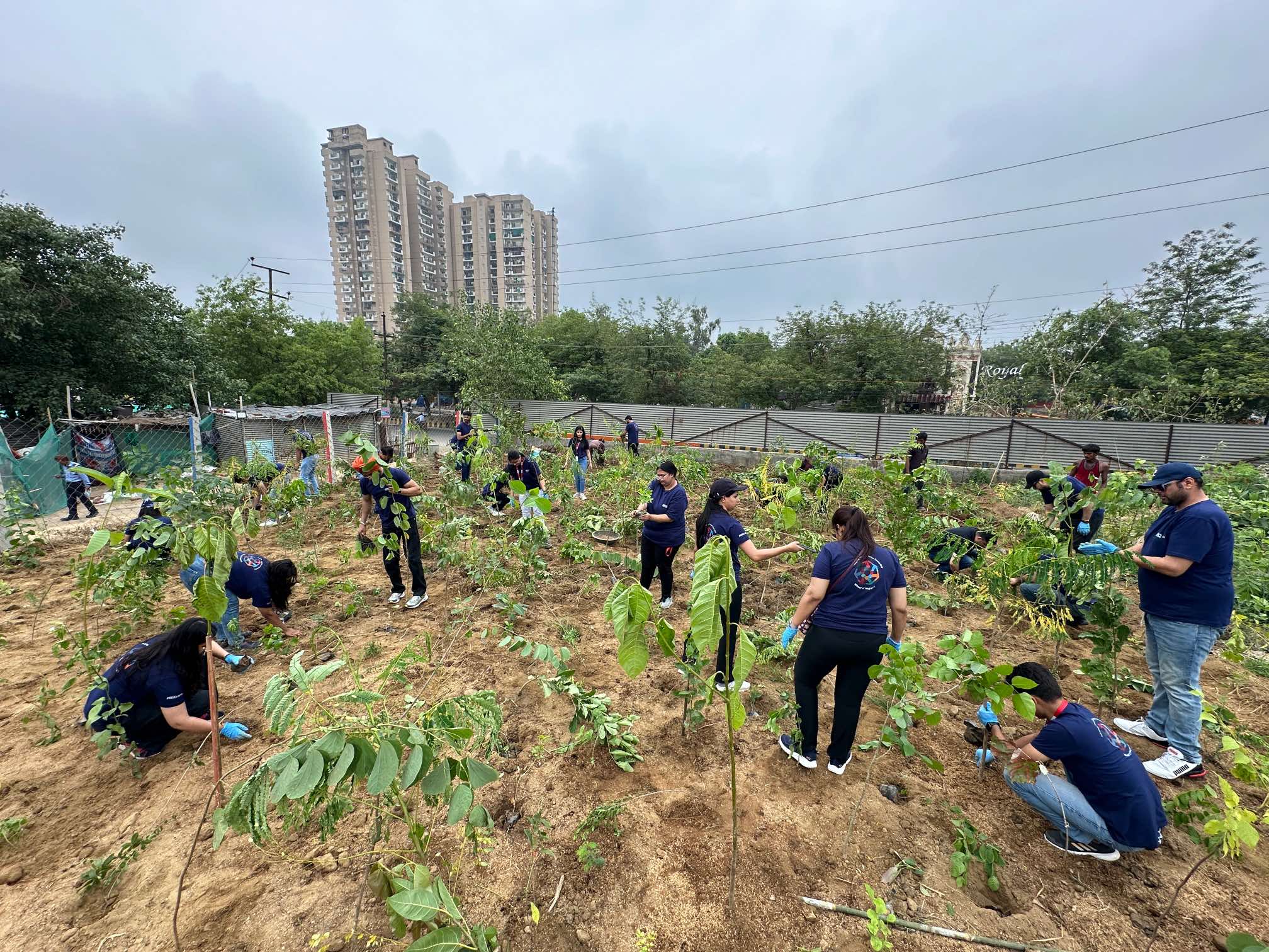Miyawaki urban forest